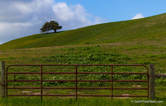 A "Gated Community" on Atterdag Rd. north of Solvang.