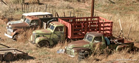 "Trucks Stopped" I always look for this collection of mostly old Chevy trucks south of Lamy, west side of track.