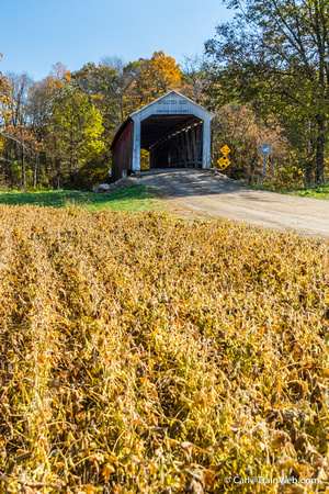The McAllister Covered Bridge crosses Little Raccoon Creek on County Road East 400 South, in Parke County. This single span Burr Arch Truss structure has a length of 126 feet, or 144 feet including th