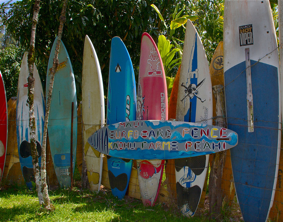 Kaohu Farms surfboard fence.