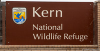Kern National Wildlife Refuge, 10811 Corcoran Rd., Delano, CA   93215
