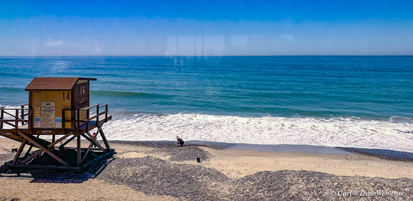 Doheny State Beach