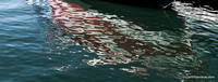 Abstract of the Patriot's hull reflecting in the water.